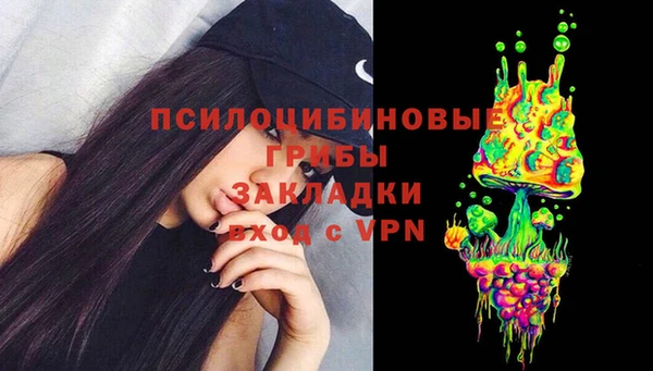 дмт Нея