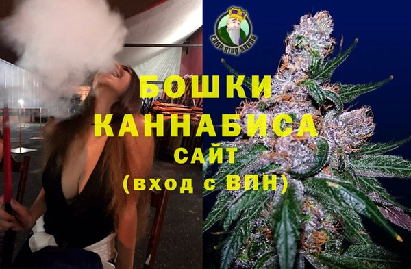 дмт Нея