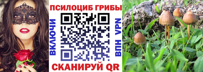 Псилоцибиновые грибы MAGIC MUSHROOMS  МЕГА ТОР  Сергач 