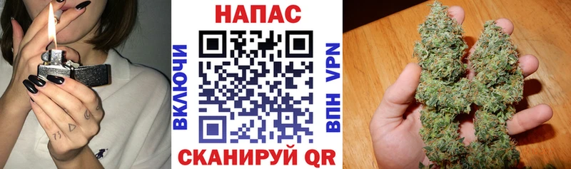 Канабис SATIVA & INDICA  где найти наркотики  Сергач 
